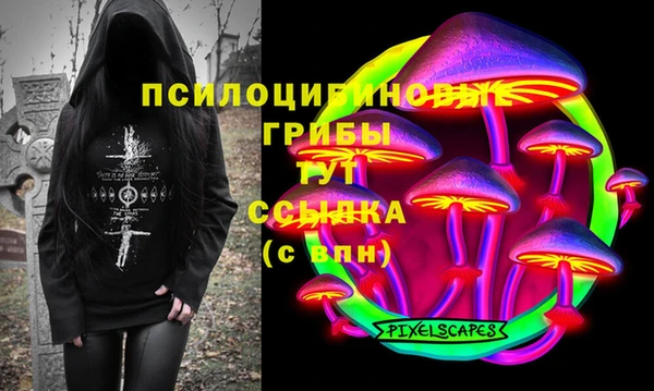 гидра Мегион