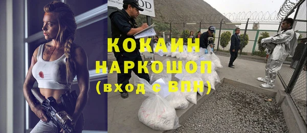 гидра Мегион